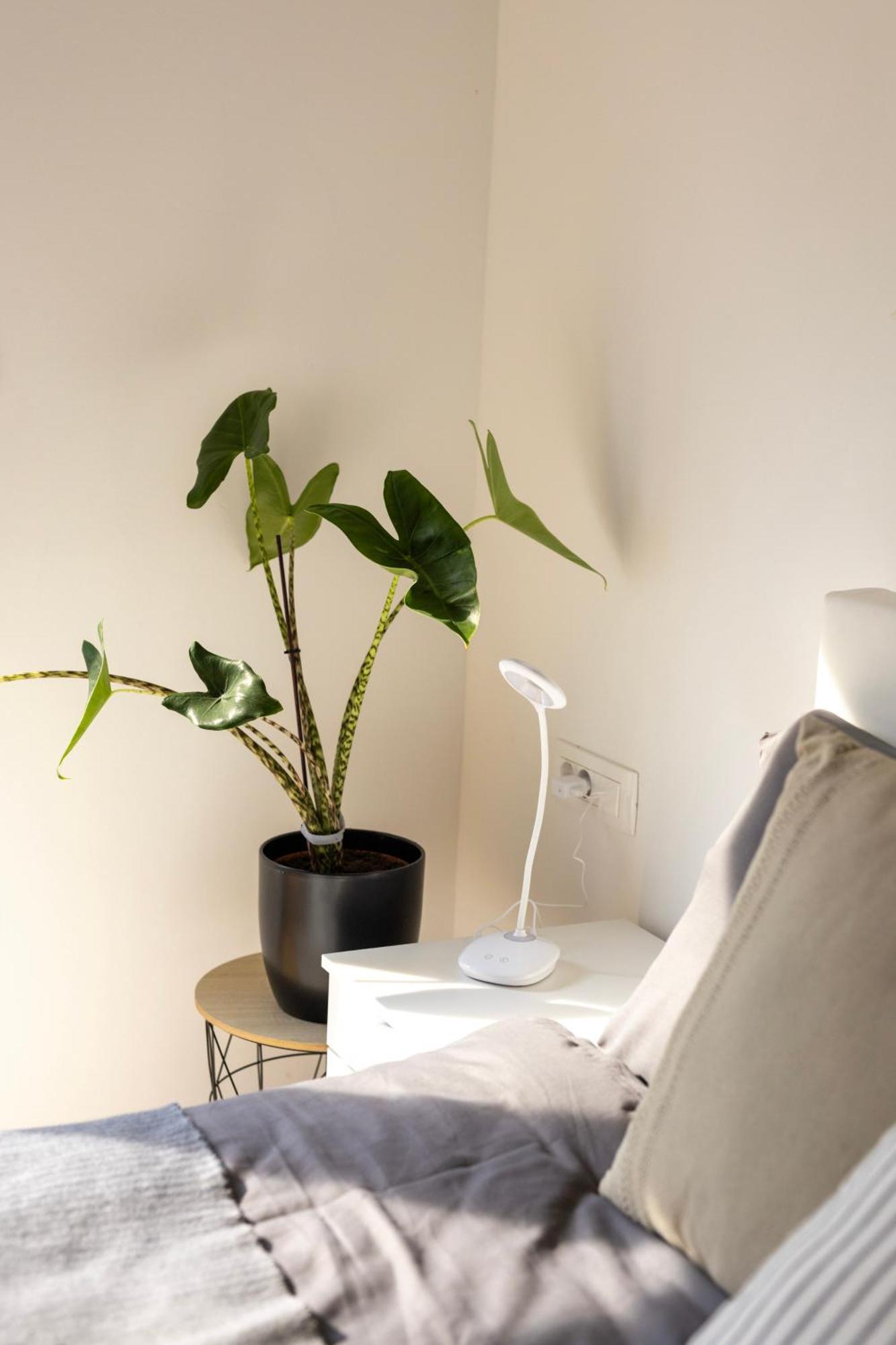 Aura Apartments Zirovnica Eksteriør bilde